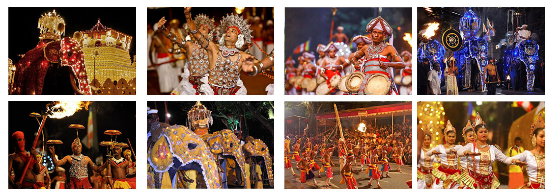 Kandy Esala Perahera, Festival of Tooth, Tours in Sri Lanka