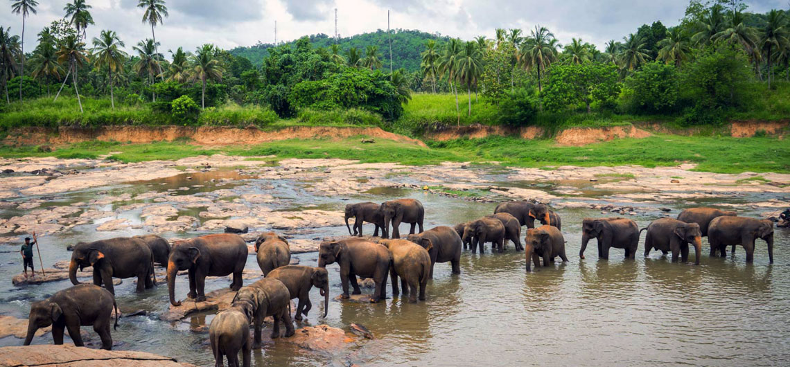 Holidays in Sri Lanka, Sri Lanka Sunray Lanka Tours & Travels