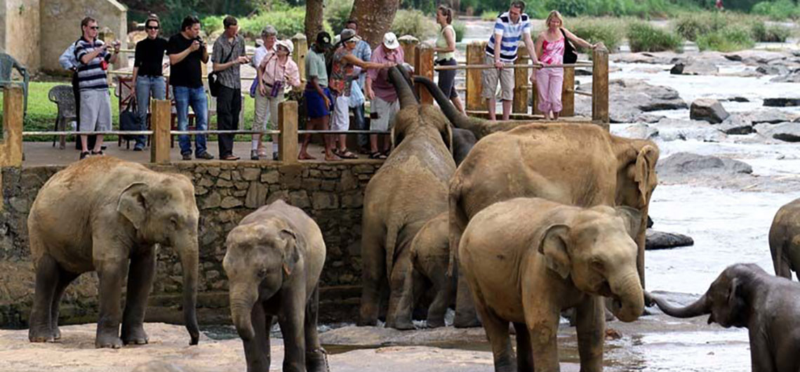 Sri Lanka Water Sports