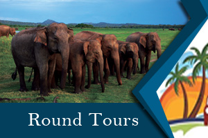 Tours in Sri Lanka